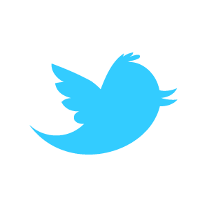 twitter_newbird_boxed_blueonwhite-11