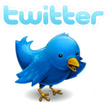 twitter logo bird